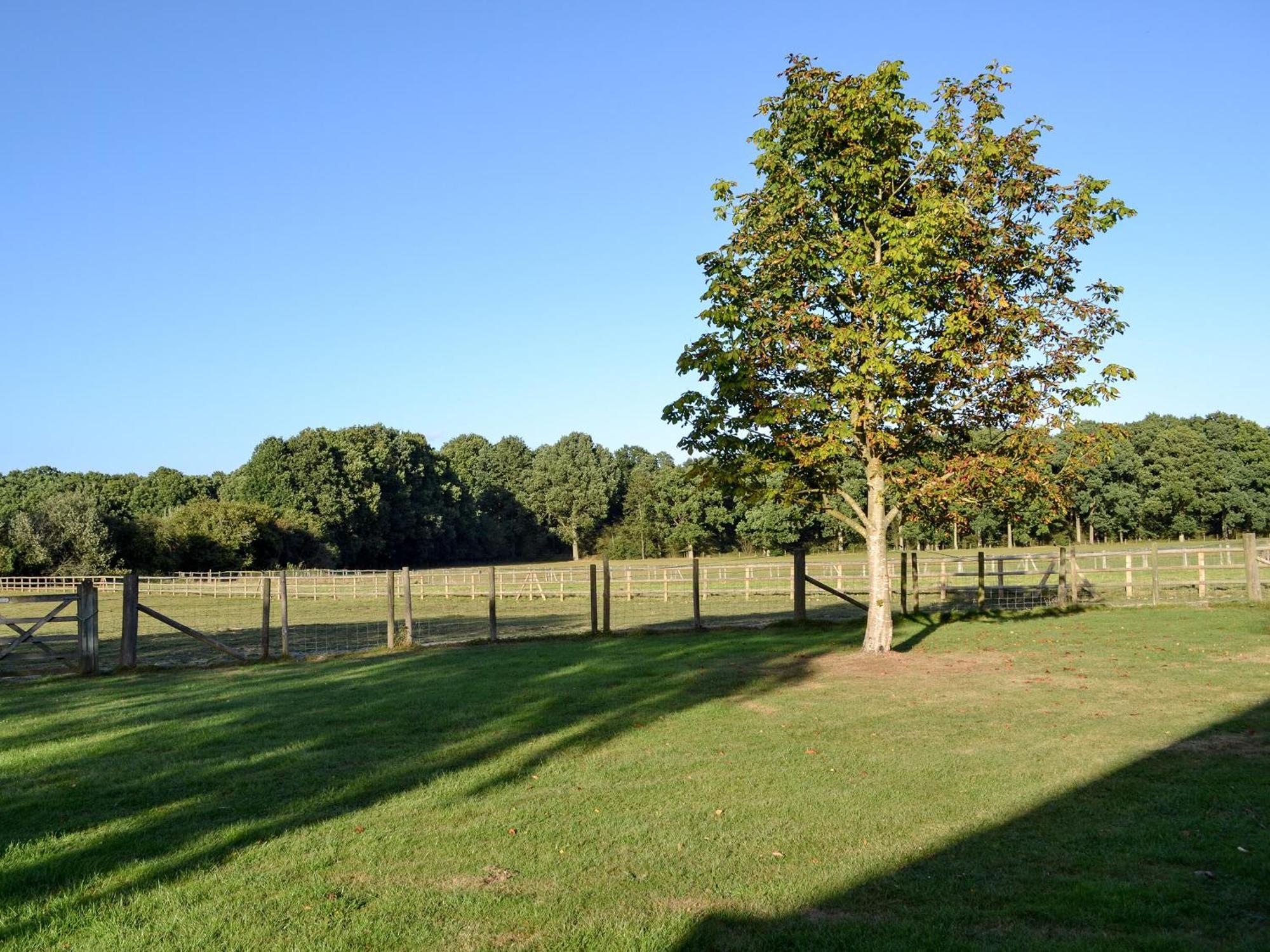 Maplehurst Barn Stables Staplehurst 外观 照片