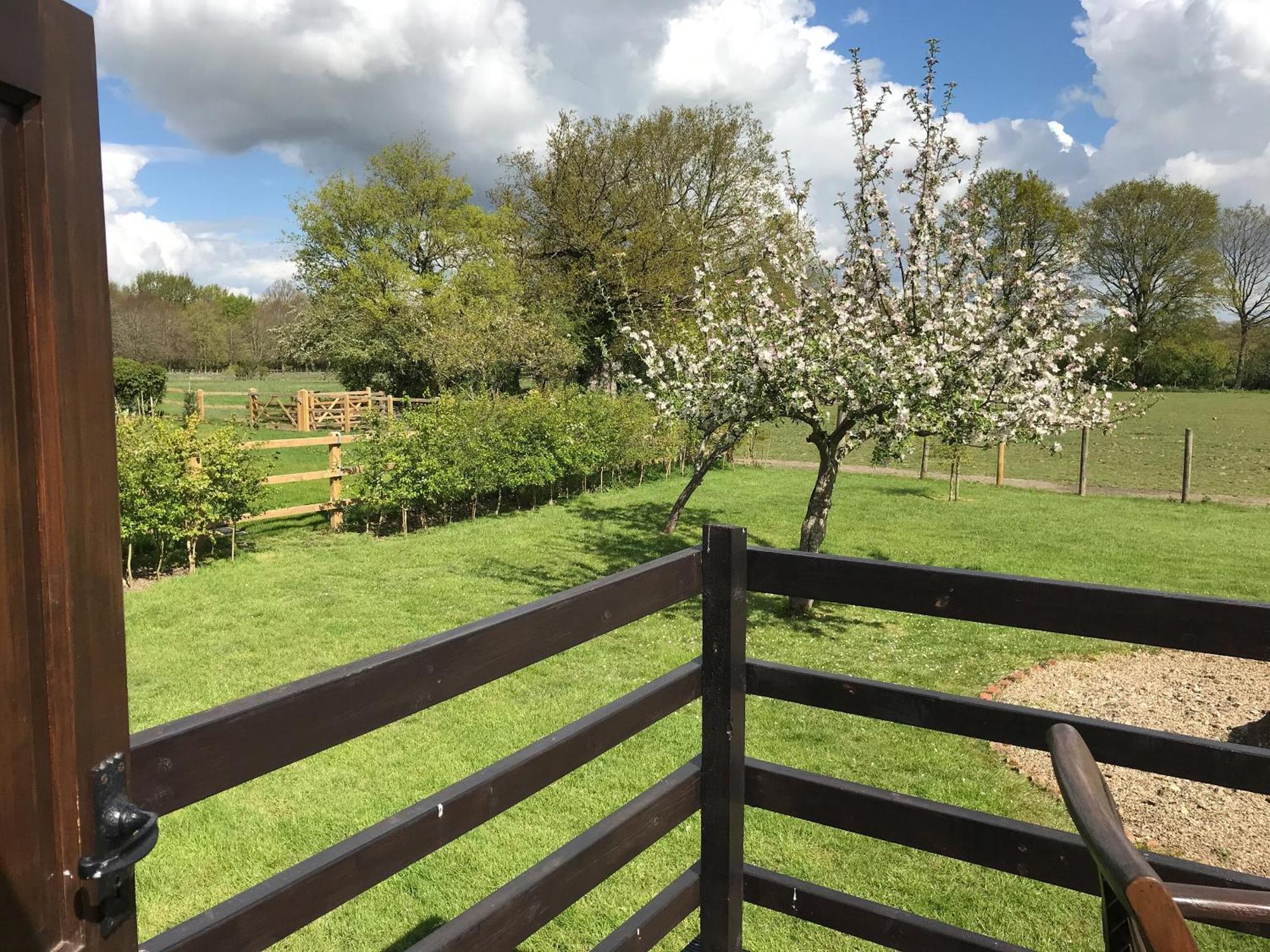 Maplehurst Barn Stables Staplehurst 外观 照片