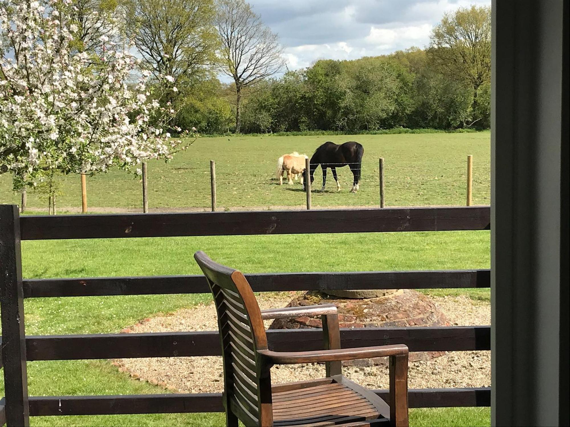 Maplehurst Barn Stables Staplehurst 外观 照片